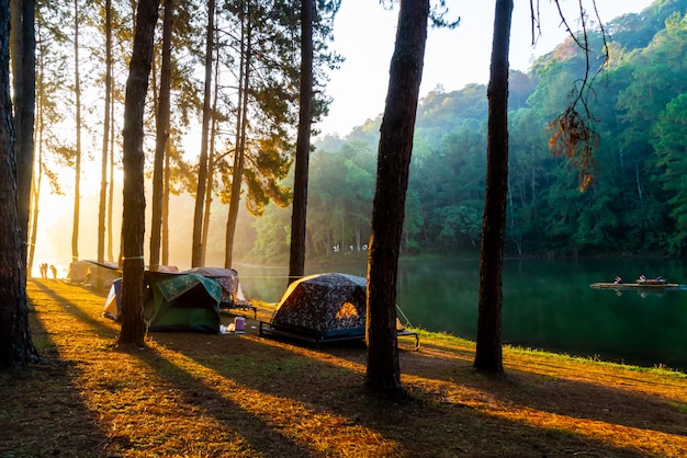 Lac et forêt au lever du soleil