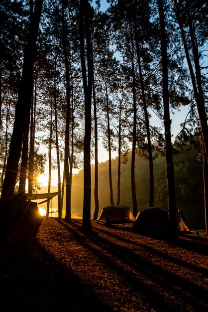 Lac et forêt au lever du soleil