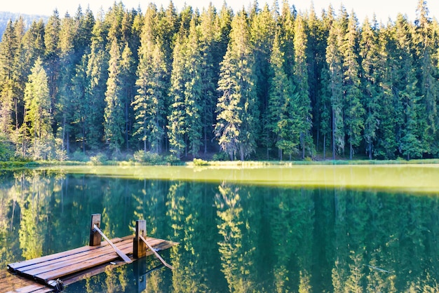 Lac de forêt dans les montagnes avec eau bleue, pont en bois, lumière du matin et soleil brillant