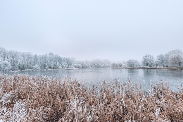 Lac de la forêt d'hiver le matin brumeux Paysage panoramique avec des arbres enneigés belle vue gelée