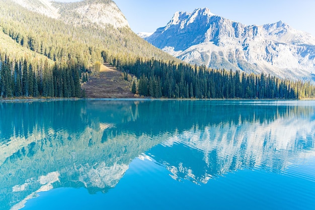 Lac avec forêt et montagnes qui s'y reflètent