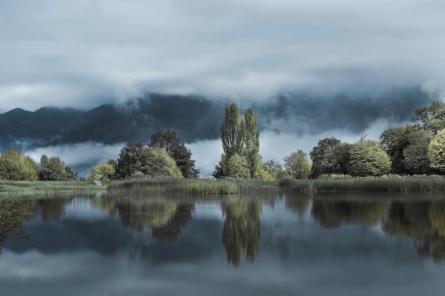 Lac de la forêt sous un ciel sombre