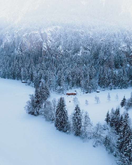 Lac Gelé Dans Les Alpes Autrichiennes En ötztal