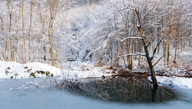 Lac gelé dans la forêt de neige sur le paysage d'hiver