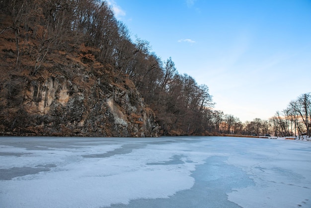 Lac gelé avec forêt