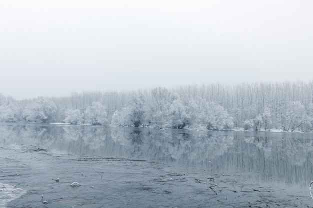 Lac gelé en hiver, scène de lac d'hiver reflétant