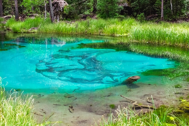 Lac des geysers aux eaux turquoises claires