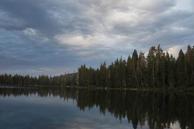 Photo le lac gold à eureka plumas forest dans le bassin du lac en californie