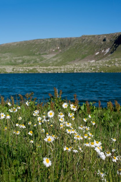 Lac des Highlands dans un fond naturel verdoyant à Artvin