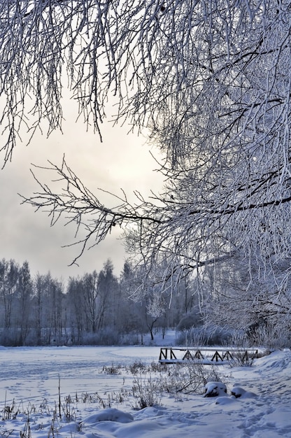 Lac d'hiver et forêt avec pont dans la neige.