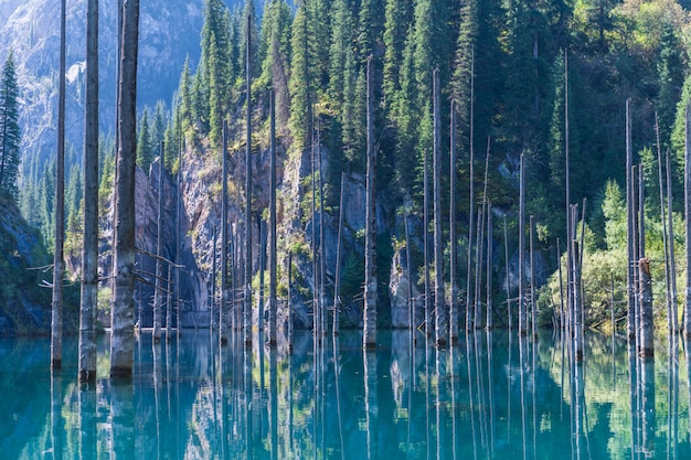 Lac Kaindy - lac de montagne au Kazakhstan