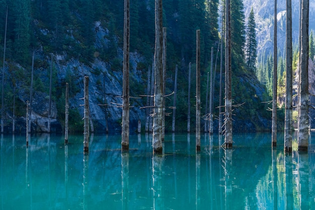 Lac Kaindy - lac de montagne au Kazakhstan