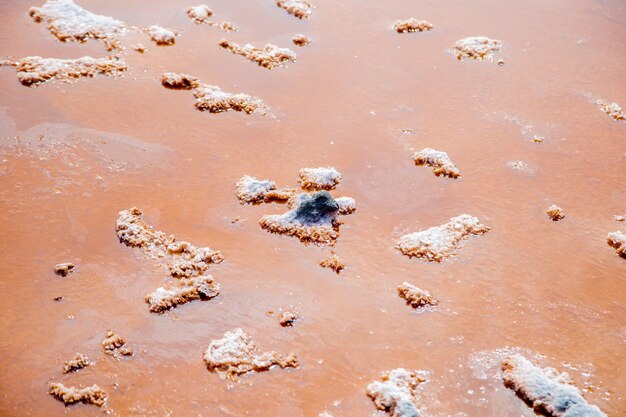 Lac Koyashskoye. Des îles de sel sont visibles dans l'eau rose-orangée. Fond.