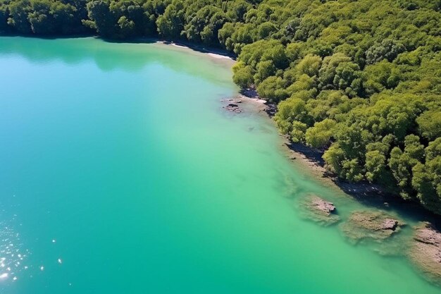 Photo un lac avec un lac vert et des arbres sur le côté