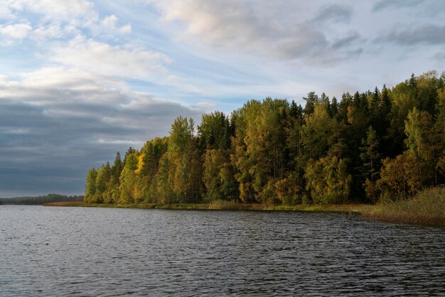 Le lac Ladoga près du village de Lumivaara par une journée d'automne Ladoga skerries Lakhdenpokhya Carélie Russie