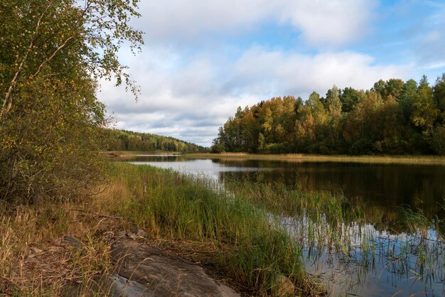 Photo le lac ladoga près du village de lumivaara par une journée ensoleillée d'automne ladoga skerries lahdenpohya carélie russie