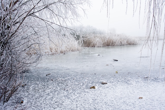 Photo lac de lande gelé en hiver