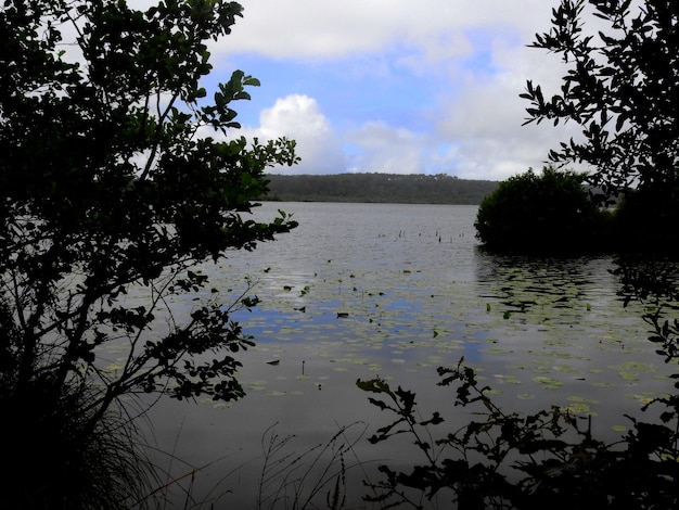 Photo le lac de léon en france