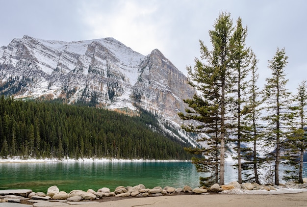 Lac Louise dans la vue du matin dans le parc national Banff, Alberta, Canada