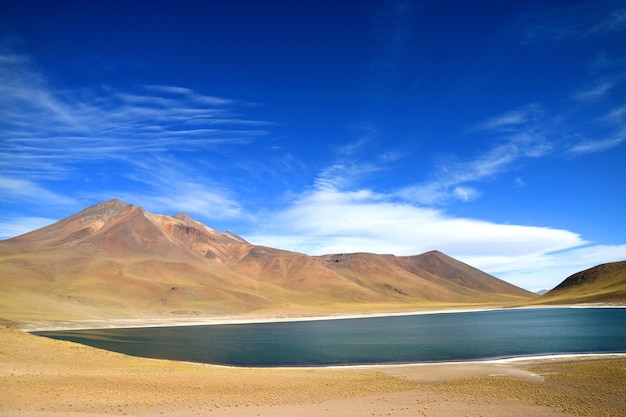 Lac Miniques avec volcan Cerro Miscanti, région d&#39;Antofagasta au nord du Chili