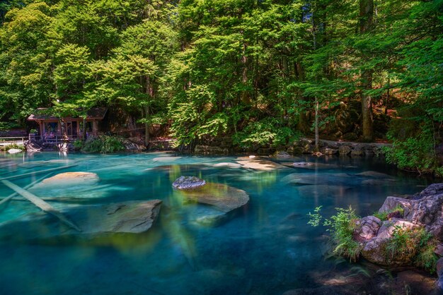 Lac de montagne blausee dans la région de la jungfrau en suisse