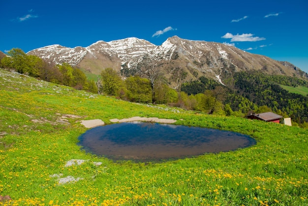 Lac de montagne entouré de paysages florissants