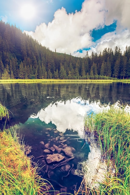 Lac de montagne d'été