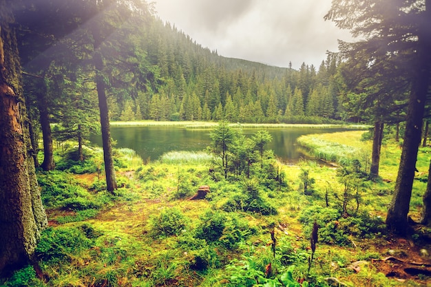 Lac de montagne d'été