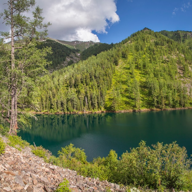 Lac de montagne pittoresque un jour d'été