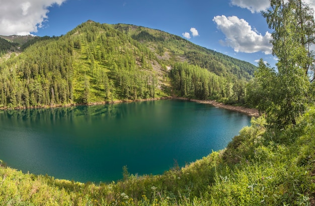 Lac de montagne pittoresque un jour d'été