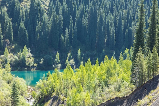 Lac de montagne unique de Kaindy au Kazakhstan avec une forêt engloutie