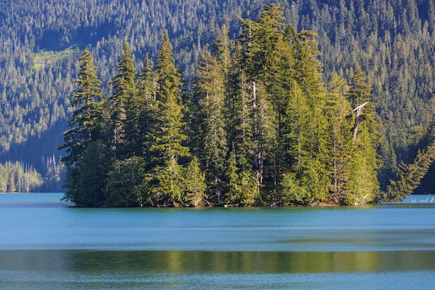 Lac des montagnes