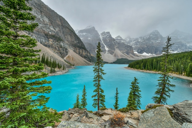 Lac moraine, dans, banff parc national, alberta, canada