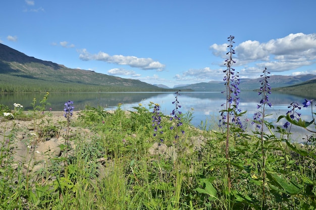 Lac Nakomaken sur le plateau de Putorana