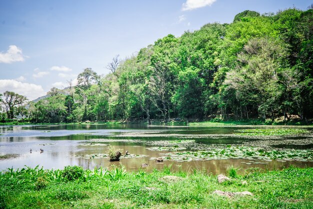 Photo lac naturel à matagalpa, nicaragua