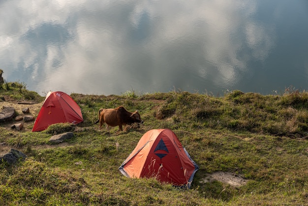 Le lac naturel sur le pré a de nombreuses tentes au bord du lac