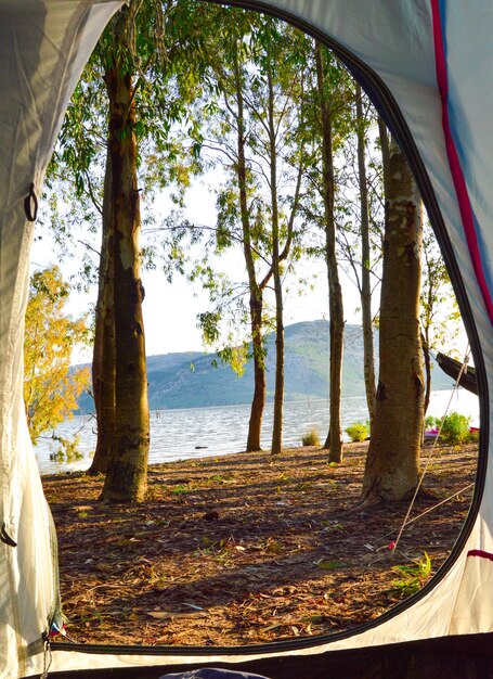 Photo lac par montagne dans la forêt vu à travers la tente