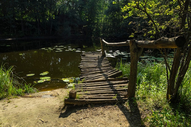 Lac avec un pont. Repos douillet. Réservoir abandonné. Temps libre dans la nature. Pont dans le marais