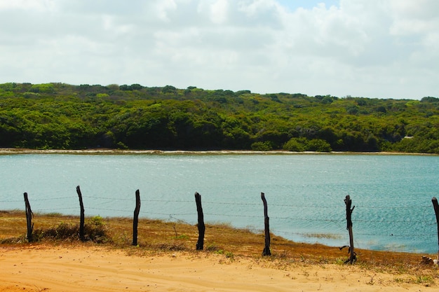 Lac près de la route