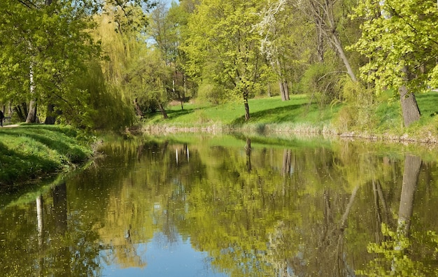 Lac de printemps paysage, arbres et herbe, reflet dans l'eau