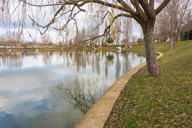 Lac avec des reflets d'arbres et de ciel dans un parc public de la ville de Tres Cantos Madrid