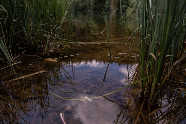 Lac rouge