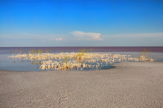 Un lac salé avec un ciel bleu d'eau rouge et des nuages blancs