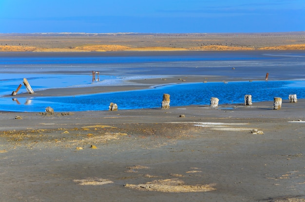 Le lac salé pittoresque d&#39;Elton. Talon en bois recouvert de sel.