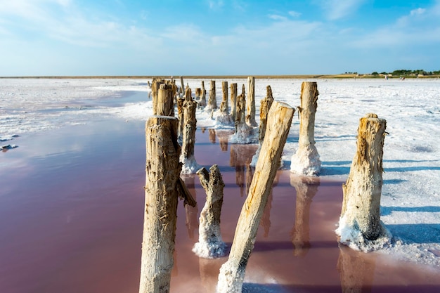 Lac salé rose dans le sud de l'Ukraine. cristaux de sel sur poteaux en bois, sel au sol