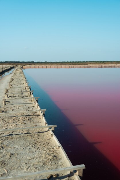 Lac salé rose. Production de sel rose.