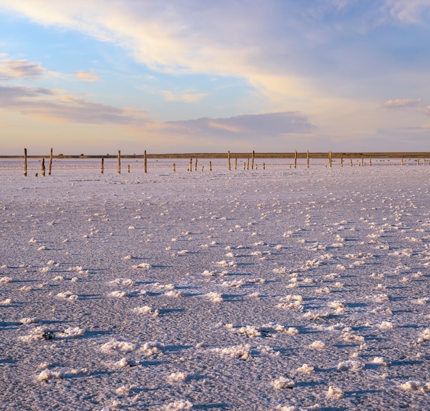 Le lac salé rose de Sunset Genichesk en Ukraine