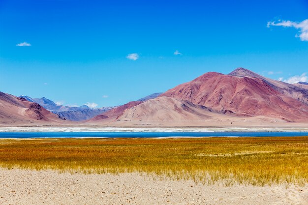 Lac salé Tso Kar dans l'Himalaya, Ladakh