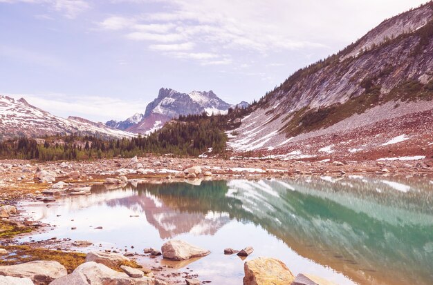 Lac de sérénité dans les montagnes en saison estivale. Beaux paysages naturels.