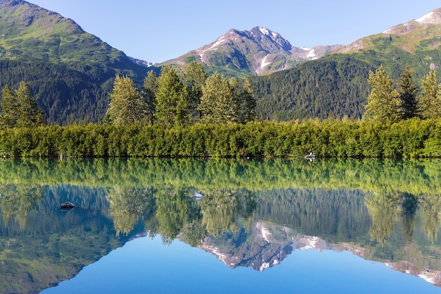 Lac de sérénité dans la toundra de l'Alaska